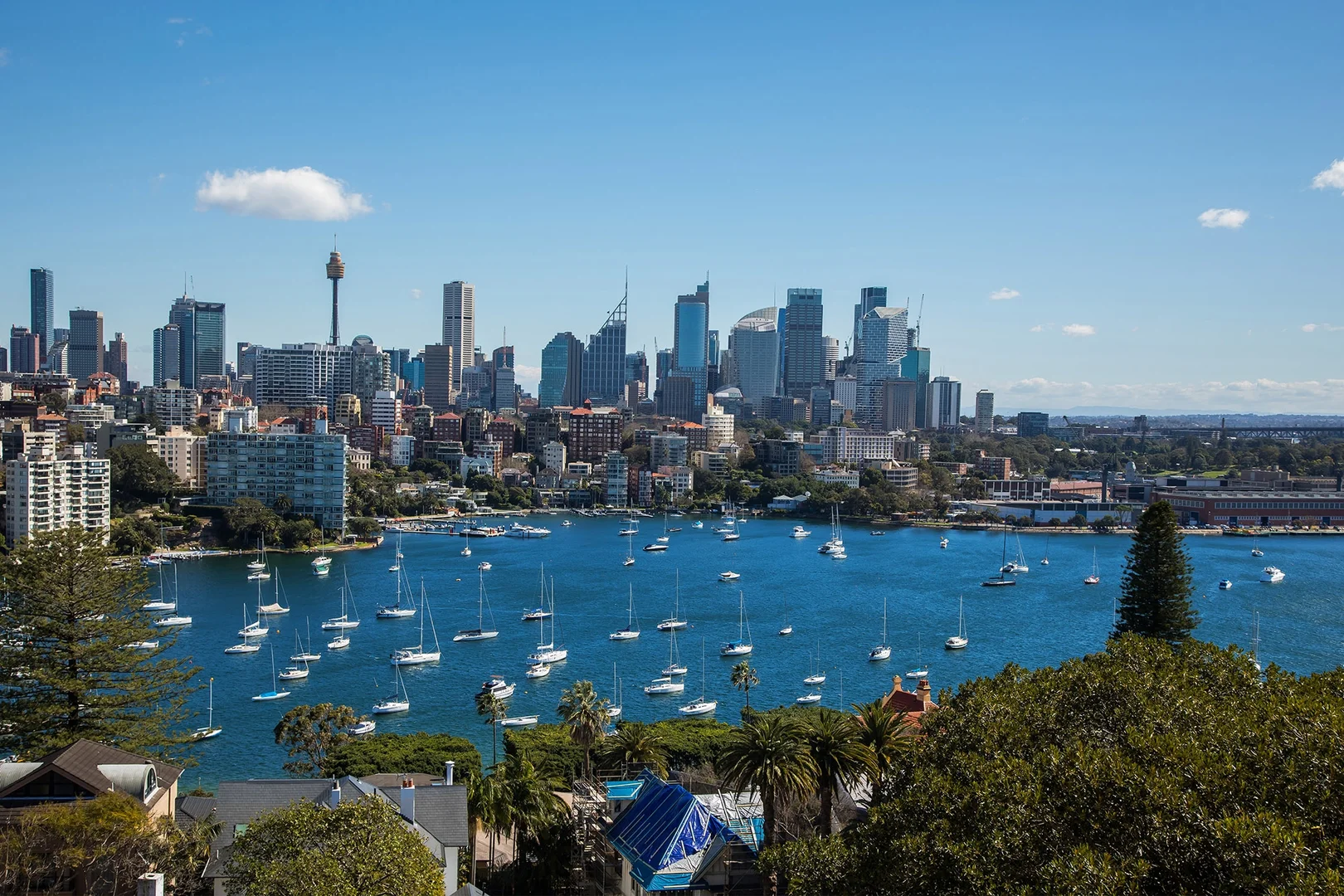 Dạo quanh những khu vực đáng sống nhất ở Sydney 